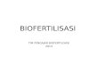 Biofertilisasi N Simbiosis 1