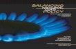 Balancing Natural Gas Policy Vol-1 Summary (NPC, 2003)