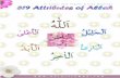 319 Attributes of Allah