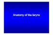 Atlas Anatomy Larynx