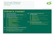 BP Annual Report Accounts 2008
