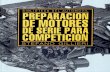 Preparacion de Motores de Serie para Competición - Stefano Gillieri.pdf