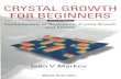 Crystal Growth for Beginners.pdf