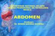 Anatomia Del Abdomen