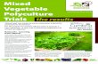 Mixed Vegetable Polyculture Trials - University of Cumbria