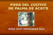 Poda Del Cultivo De Palma De Aceite Yis