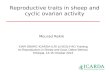 Reproductive traits in sheep and cyclic ovarian activity