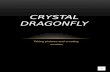 Crystal dragonfly