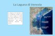 La Laguna di Venezia La laguna di Venezia è un ambiente umido che si trova lungo la costa del mare Adriatico e che comunica con il mare attraverso dei.