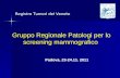 Registro Tumori del Veneto Gruppo Regionale Patologi per lo screening mammografico Padova, 23-24.11. 2011.