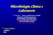 Microbiologia Clinica e Laboratorio Docente : Docente : Dott.ssa Mariateresa Vitiello Dipartimento di Medicina Sperimentale Sez. Microbiologia e Microbiologia.