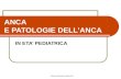 Dott.ssa Elisabetta Muccioli ANCA E PATOLOGIE DELLANCA IN ETA PEDIATRICA.