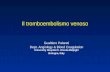 Il tromboembolismo venoso Gualtiero Palareti Dept. Angiology & Blood Coagulation University Hospital S. Orsola-Malpighi Bologna, Italy.