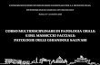 CORSO MULTIDISCIPLINARE DI PATOLOGIA ORALE: E DEL MASSICCIO FACCIALE: PATOLOGIE DELLE GHIANDOLE SALIVARI MEDITERRANEAN SCHOOL OF ONCOLOGY Roma, 19 - 21.