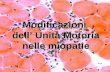 Modificazioni dell Unità Motoria nelle miopatie. Modificazioni architettura dellUnità Motoria.