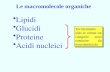 Le macromolecole organiche Lipidi Glucidi Proteine Acidi nucleici Tecnicamente solo le ultime tre categorie sono costituite da macromolecole.