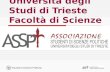 Facoltà di Scienze Politiche Università degli Studi di Trieste Facoltà di Scienze Politiche.