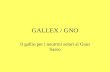 GALLEX / GNO Il gallio per i neutrini solari al Gran Sasso.