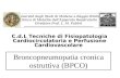 Università degli Studi di Modena e Reggio Emilia Clinica di Malattie dellApparato Respiratorio Direttore Prof. L. M. Fabbri Broncopneumopatia cronica ostruttiva.