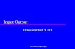 AN Fondam98 Input Output Input Output I files standard di I/O.