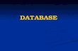 DATABASE. Sistemi di gestione di basi di dati (DBMS) I database (basi di dati) sono degli insiemi organizzati di dati. Un sistema di gestione delle basi.