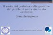 Craniofaringioma Il ruolo del pediatra nella gestione dei problemi endocrini in età evolutiva Gerdi Tuli, Patrizia Matarazzo, Silvia Vannelli.