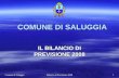 Comune di Saluggia Bilancio di Previsione 2008 1 COMUNE DI SALUGGIA IL BILANCIO DI PREVISIONE 2008.