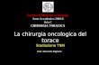 La chirurgia oncologica del torace Stadiazione TNM Facolta di Medicina e Chirurgia Anno Accademico 2008-9 Polo C CHIRURGIA TORACICA Prof. Marcello Migliore.