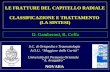 D. Gamberoni, R. Ceffa S.C. di Ortopedia e Traumatologia Università del Piemonte Orientale A. Avogadro A.O.U. Maggiore della Carità NOVARA LE FRATTURE.