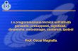 La programmazione tecnica nellattività giovanile: presupposti, significati, dinamiche, metodologie, contenuti, ipotesi Prof. Oscar Maghella.