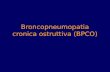 Broncopneumopatia cronica ostruttiva (BPCO). COPD n Definition, Classification n Burden of COPD n Risk Factors n Pathogenesis, Pathology, Pathophysiology.