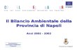 Provincia di Napoli Il Bilancio Ambientale della Provincia di Napoli Anni 2002 - 2003.