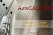 Disegno con AutoCAD M. Nieddu AutoCAD 2010 STRUMENTI COMUNI ALLE DUE INTERFACCE.