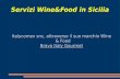 Servizi Wine&Food in Sicilia Italycomex snc, attraverso il suo marchio Wine & Food Bravo Italy Gourmet.