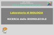 IISS Mattei Rosignano solvay (LI) LICEO SCIENTIFICO TECNOLOGICO Laboratorio di BIOLOGIA RICERCA delle BIOMOLECOLE.