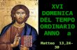 XVI DOMENICA DEL TEMPO ORDINARIO ANNO a Matteo 13,24-30.
