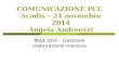 COMUNICAZIONE PCC Acadis – 24 novembre 2014 Angela Andreozzi Mod. 003 – Gestione elaborazione massiva.
