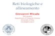 Reti biologiche e allineamento Giovanni Micale PhD student Department of Computer Science University of Pisa micale@di.unipi.it.