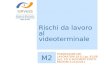 Rischi da lavoro al videoterminale SiRVeSS Sistema di Riferimento Veneto per la Sicurezza nelle Scuole M2 FORMAZIONE DEI LAVORATORI EX D.Lgs. 81/08 (art.