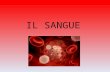 IL SANGUE. Esame emocromocitometrico Esame emocromocitometrico = emocromo Esame del sangue eseguito in laboratorio Determina: Quantità di globuli bianchi.