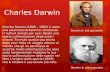 Charles Darwin Charles Darwin (1809 – 1882) è stato uno scienziato britannico conosciuto in tutto il mondo per aver ideato una teoria sull’evoluzione degli.