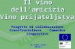 Progetto di collaborazione transfrontaliera Comenius linguistico Il vino dell’amicizia 05-ITA01-S2C02-00129-1 Vino prijateljstva.