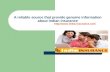 India Insurance Guide-All About Insurance