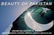 Beauty of pakistan