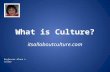 What is culture?