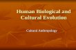 Human biological and cultural evolution 2