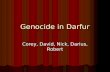 Genocide in darfur[1]pwrpoint