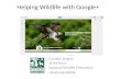 National Wildlife Federation on Google+