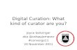 Digital Curation: What kind of curator are you? #converge11