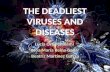 The deadliest viruses and diseases